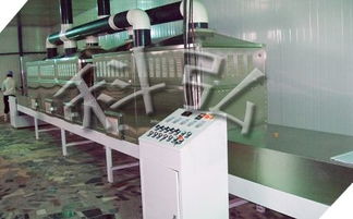 微波食品烘干杀菌设备 高效、节能的现代干燥解决方案